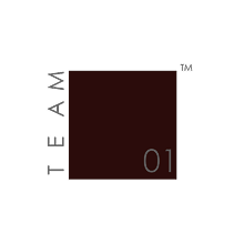 Team1 Logo